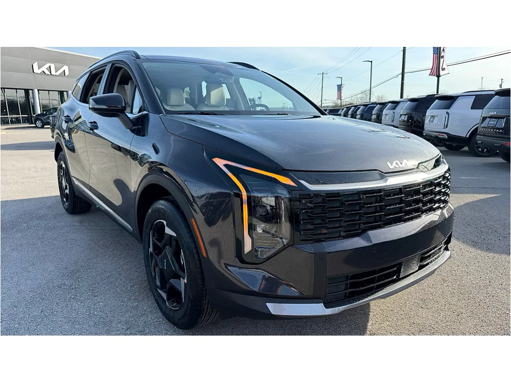 New 2026 Panthera Metal Gray Kia EX image 2