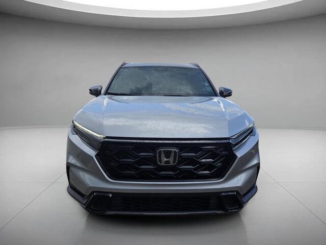 Used 2023 Lunar Silver Metallic Honda Sport image 8
