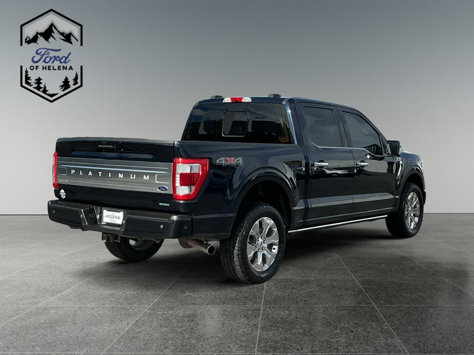 Used 2022 Blue Ford Platinum image 5