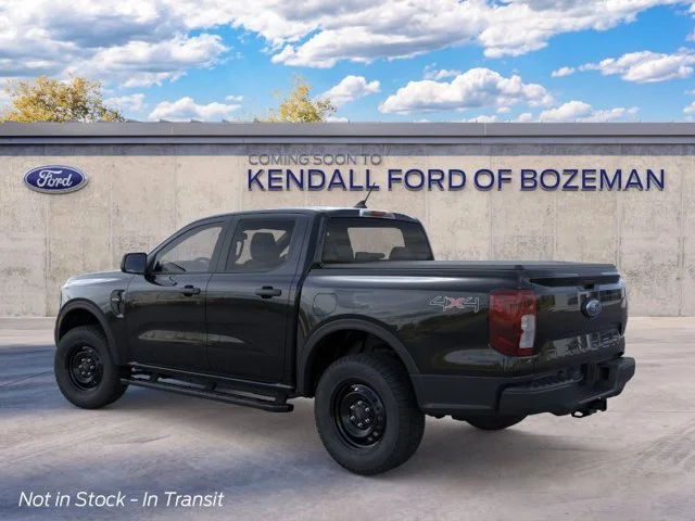 New 2026 Shadow Ford XL image 4