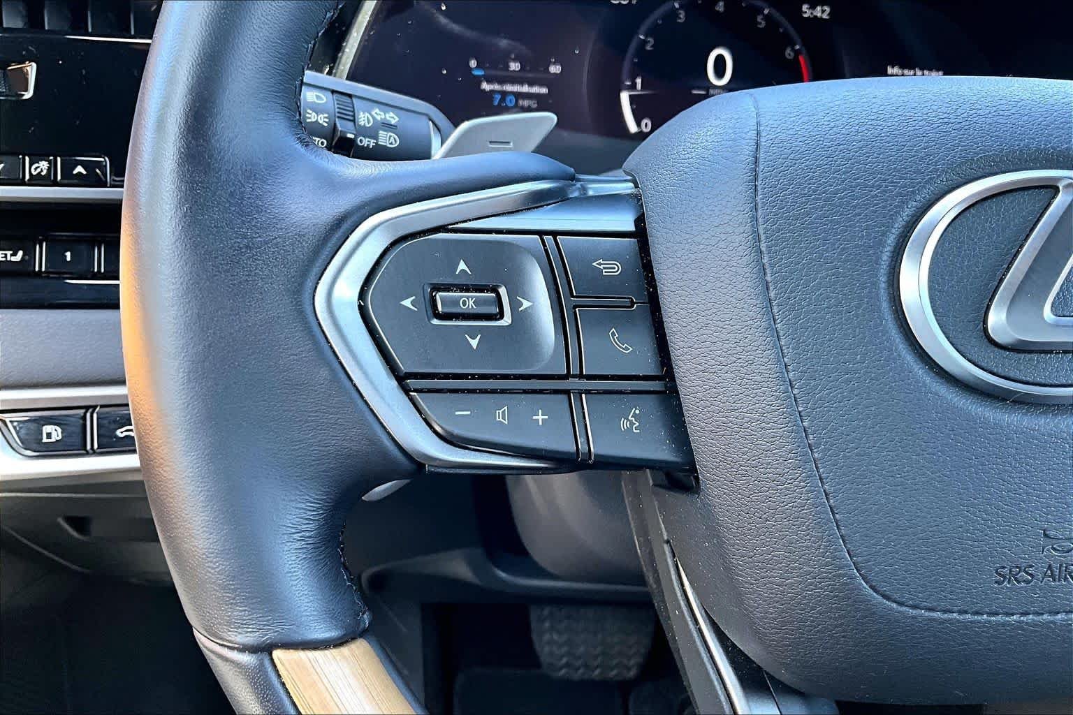 Used 2025 Iridium Lexus  image 22