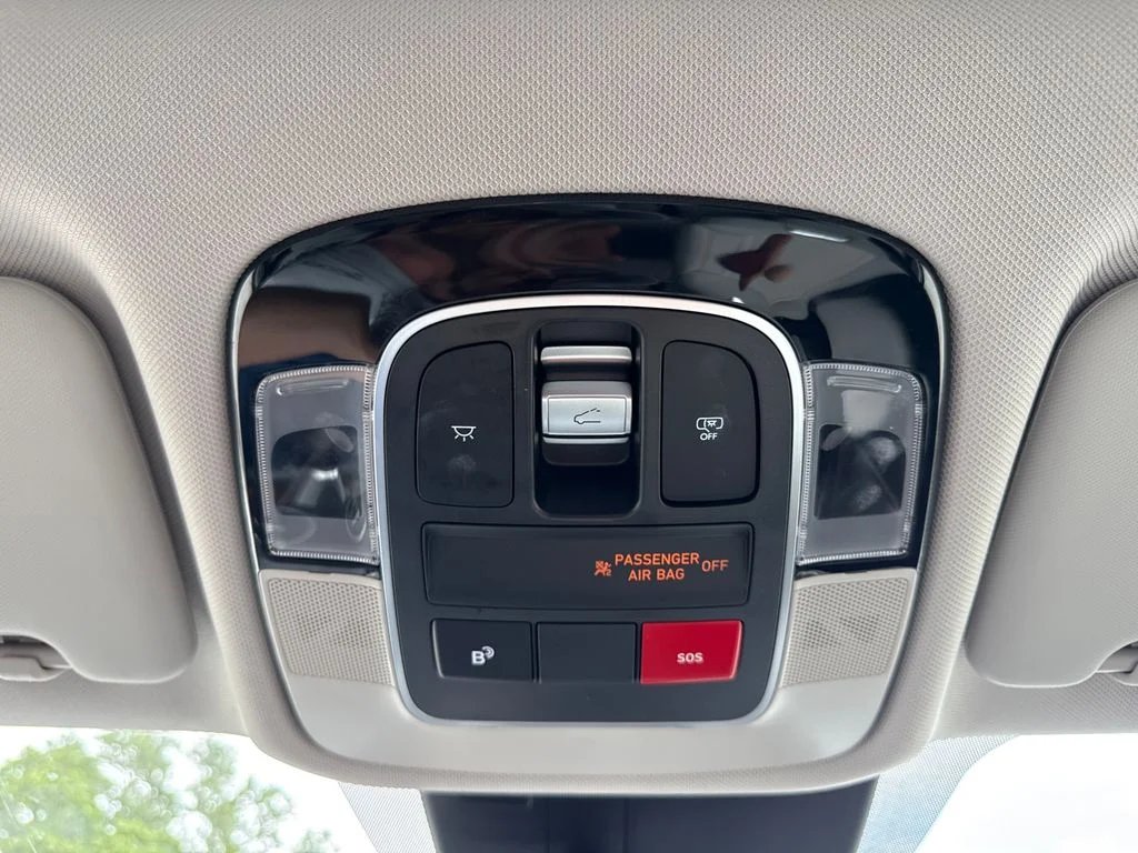 Used 2025 Ecotronic Gray Hyundai Limited image 25
