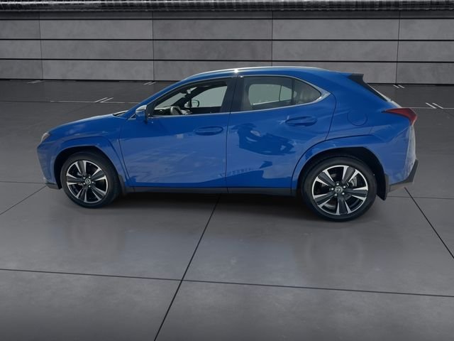 Certified Used 2025  Lexus 300h Premium image 5