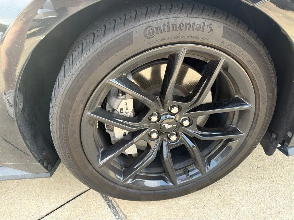 Used 2024 Black Ford GT image 13