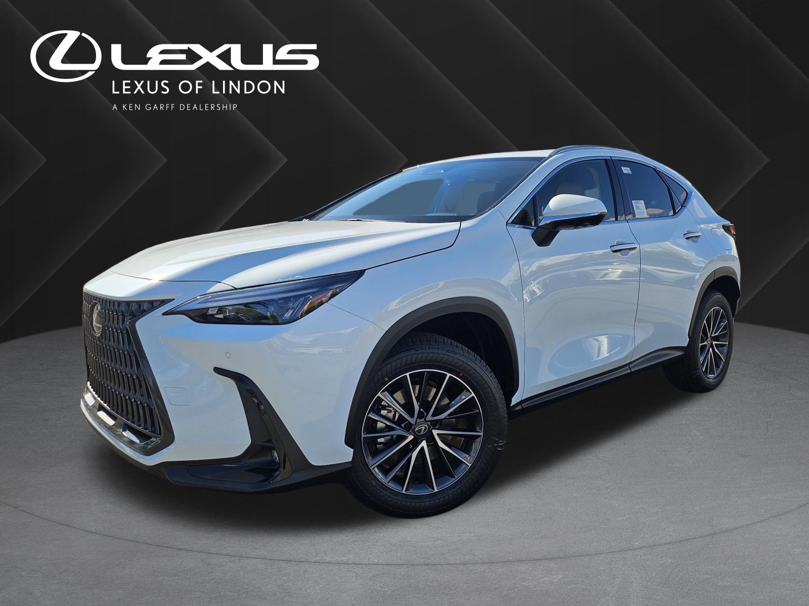 2026 Lexus NX 350h 350h Premium AWD's photo