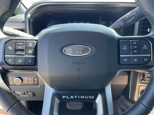New 2026 Carbonized Gray Metallic Ford Platinum image 10