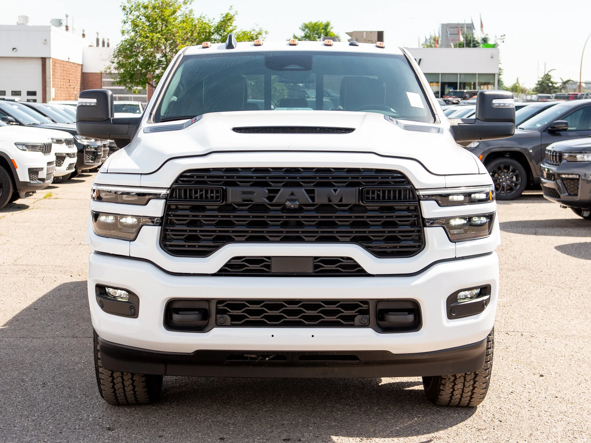 New 2026 White RAM Limited* image 9