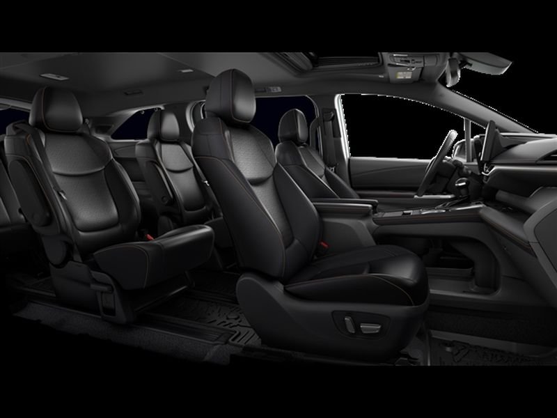 New 2026 Cement Toyota Woodland Edition image 19