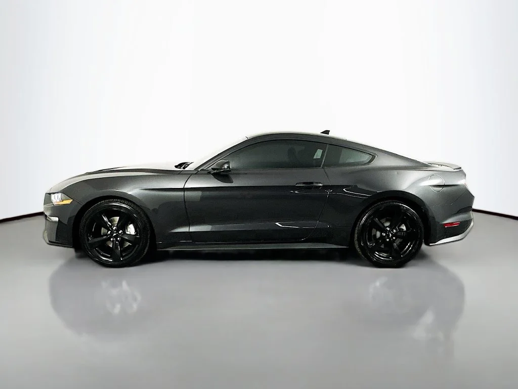 Used 2023 Gray Metallic Ford EcoBoost Premium image 5