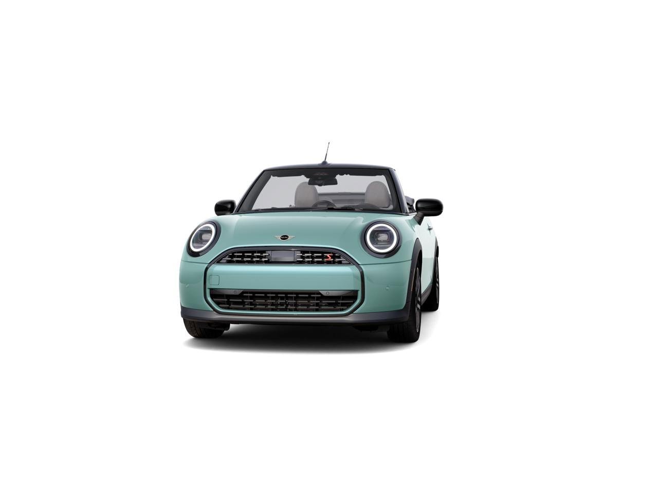 New 2027 Ocean Wave Green Metallic MINI SIGNATURE PLUS image 3