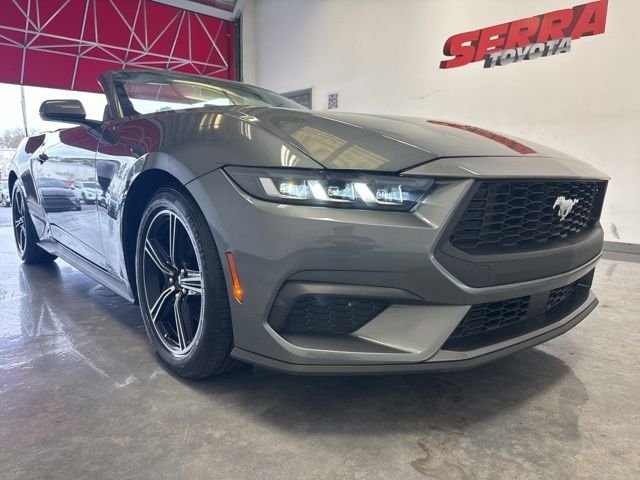 2025 Ford Mustang EcoBoost Premium Convertible's photo