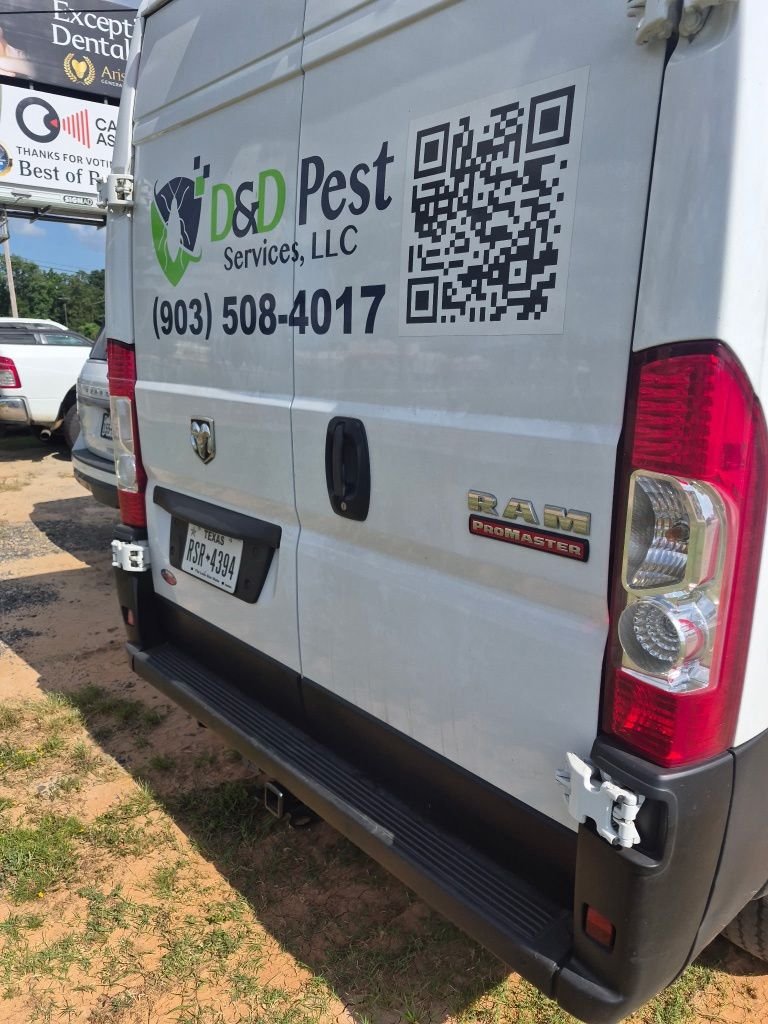 Used 2022 White Ram High Roof image 5