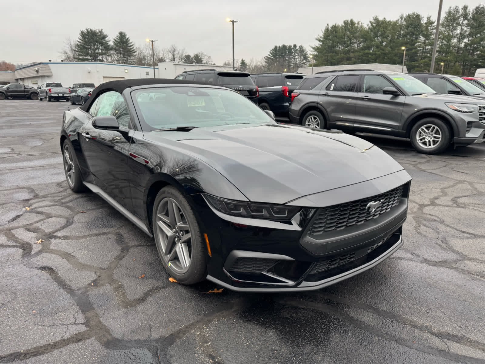 2026 Ford Mustang EcoBoost Premium Convertible - Photo 8