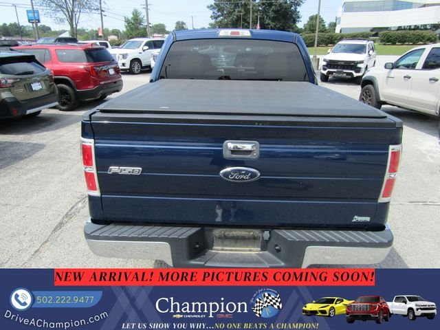 Used 2010 Blue Ford  image 5