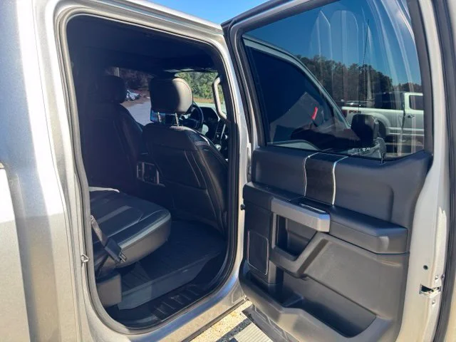 Used 2020 Silver Ford Platinum image 14