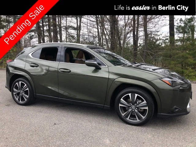 2025 Lexus UX 300h 300h Premium AWD's photo
