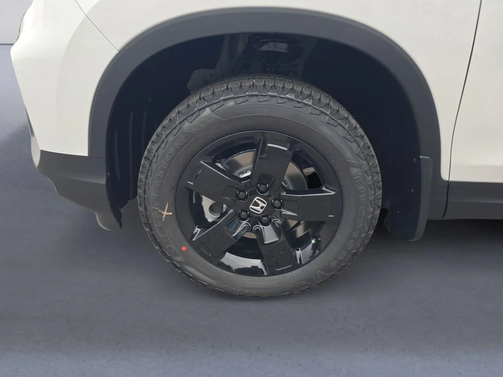 New 2026 Platinum White Pearl Honda Black Edition image 10
