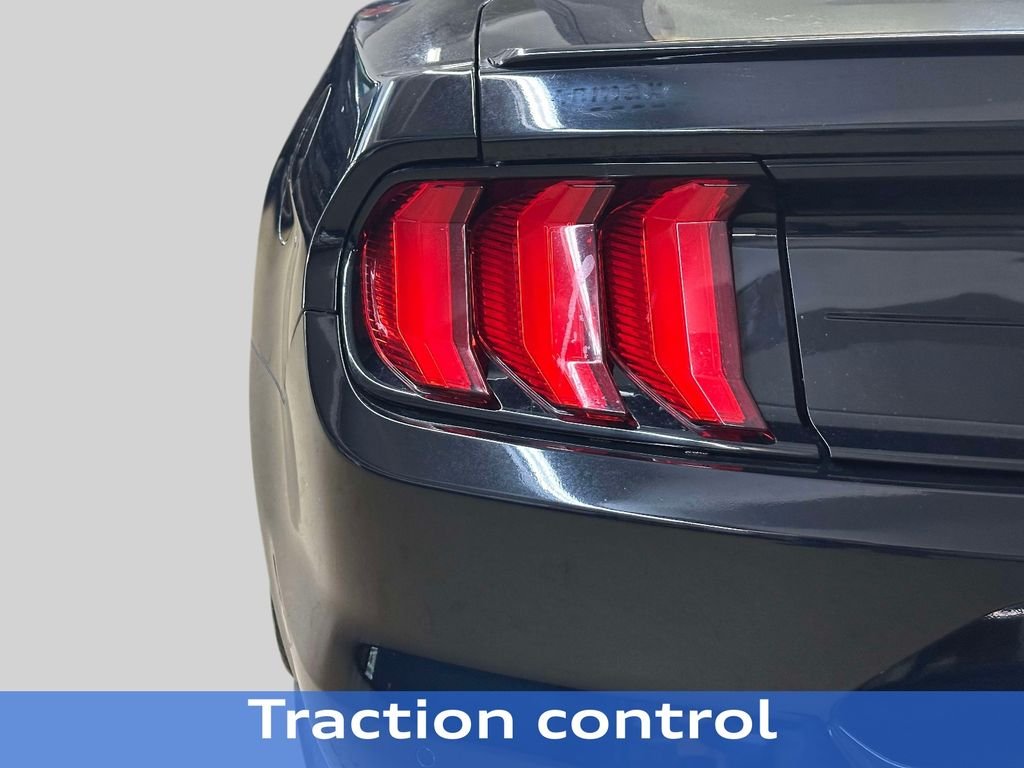 Used 2019 Shadow Black Ford EcoBoost Premium image 15