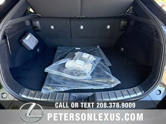 New 2026 Caviar Lexus 450e Premium image 19