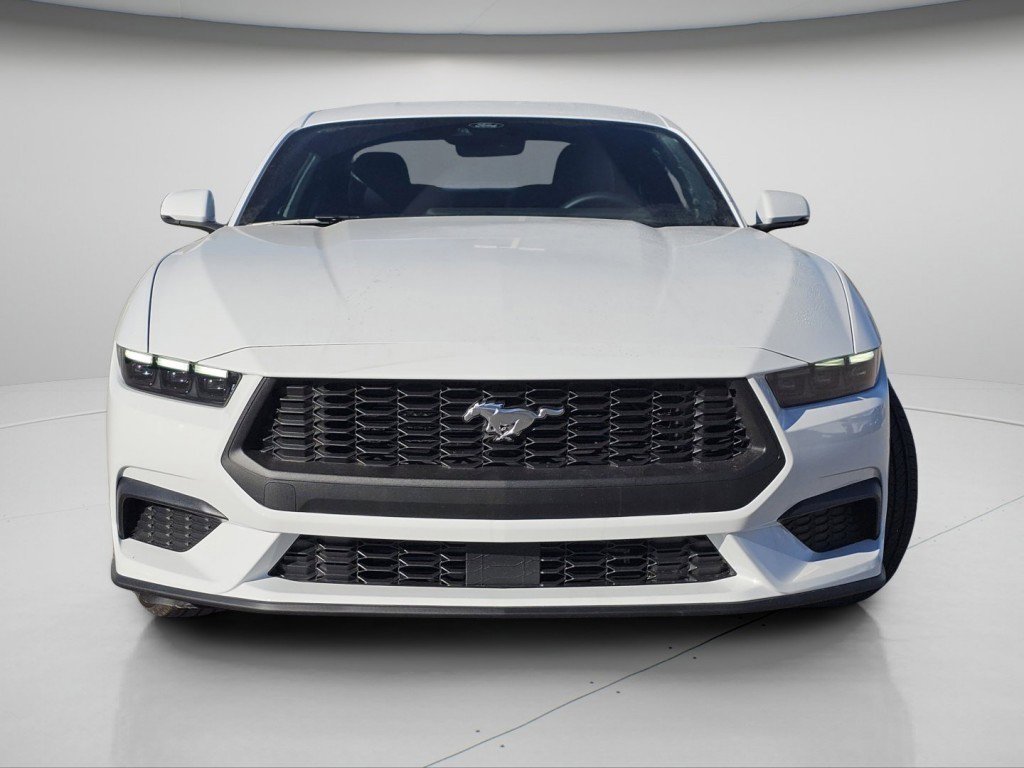 New 2026 Oxford White Ford EcoBoost Premium image 3