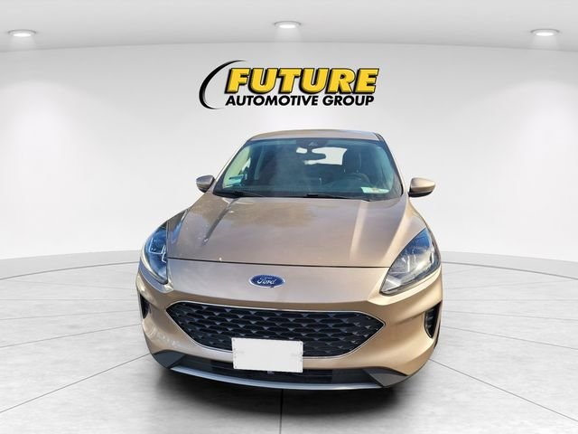 Used 2020 Gold Ford SE image 2