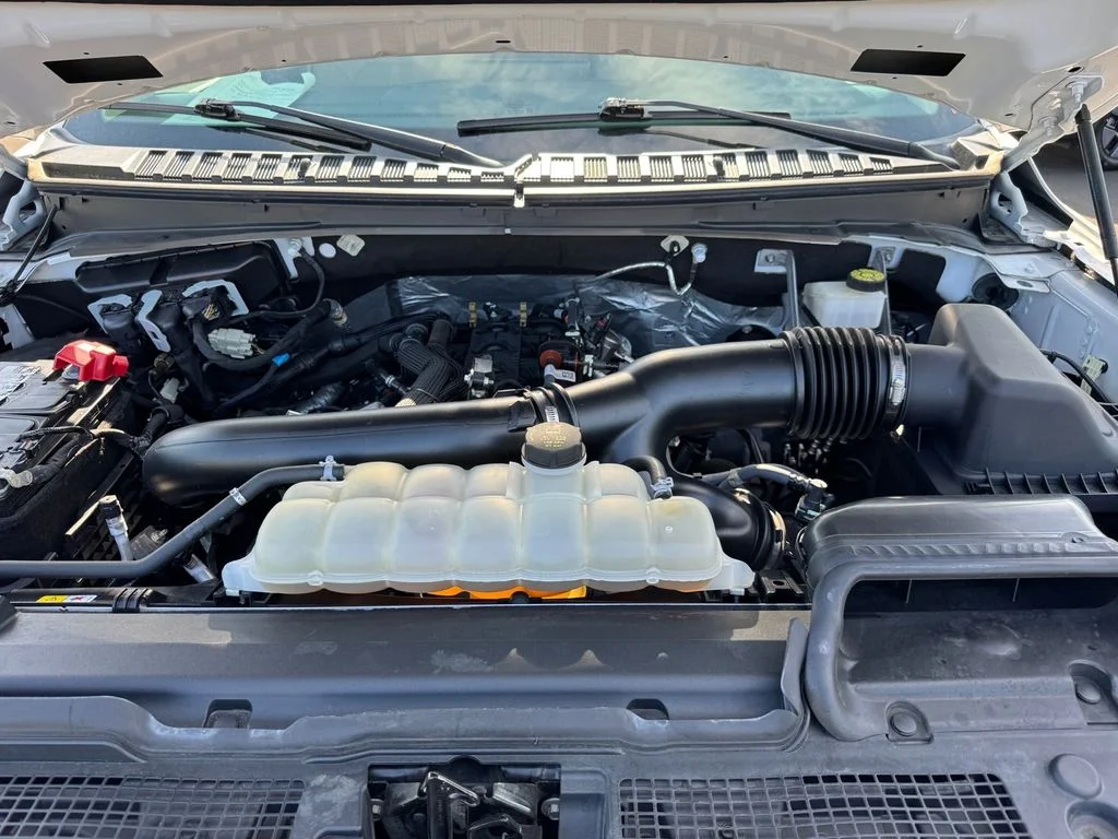 Used 2023 White Ford Limited image 12