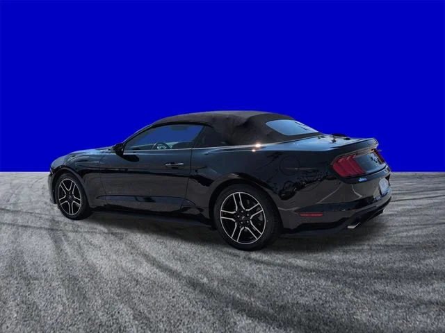 Used 2019 Black Ford EcoBoost Premium image 6