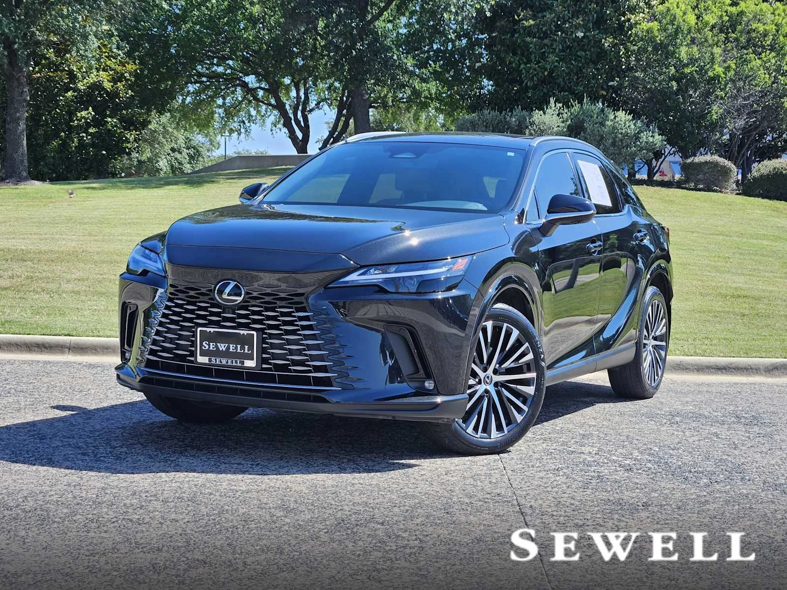 2023 Lexus RX 350 350 Premium Plus FWD's photo