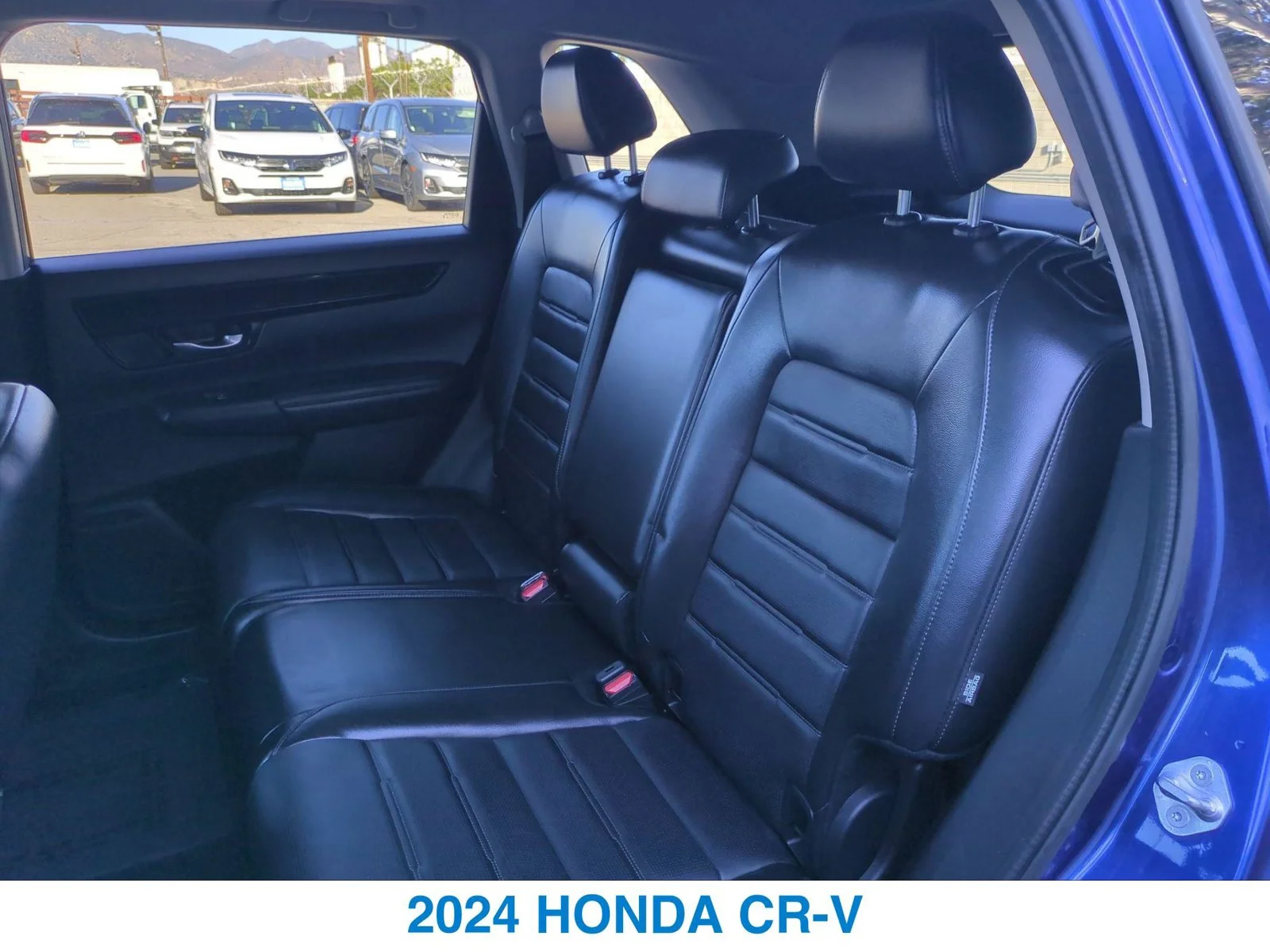 Used 2024 Blue Honda EX-L image 22
