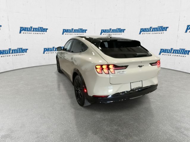 New 2026 Beige Ford Premium image 9