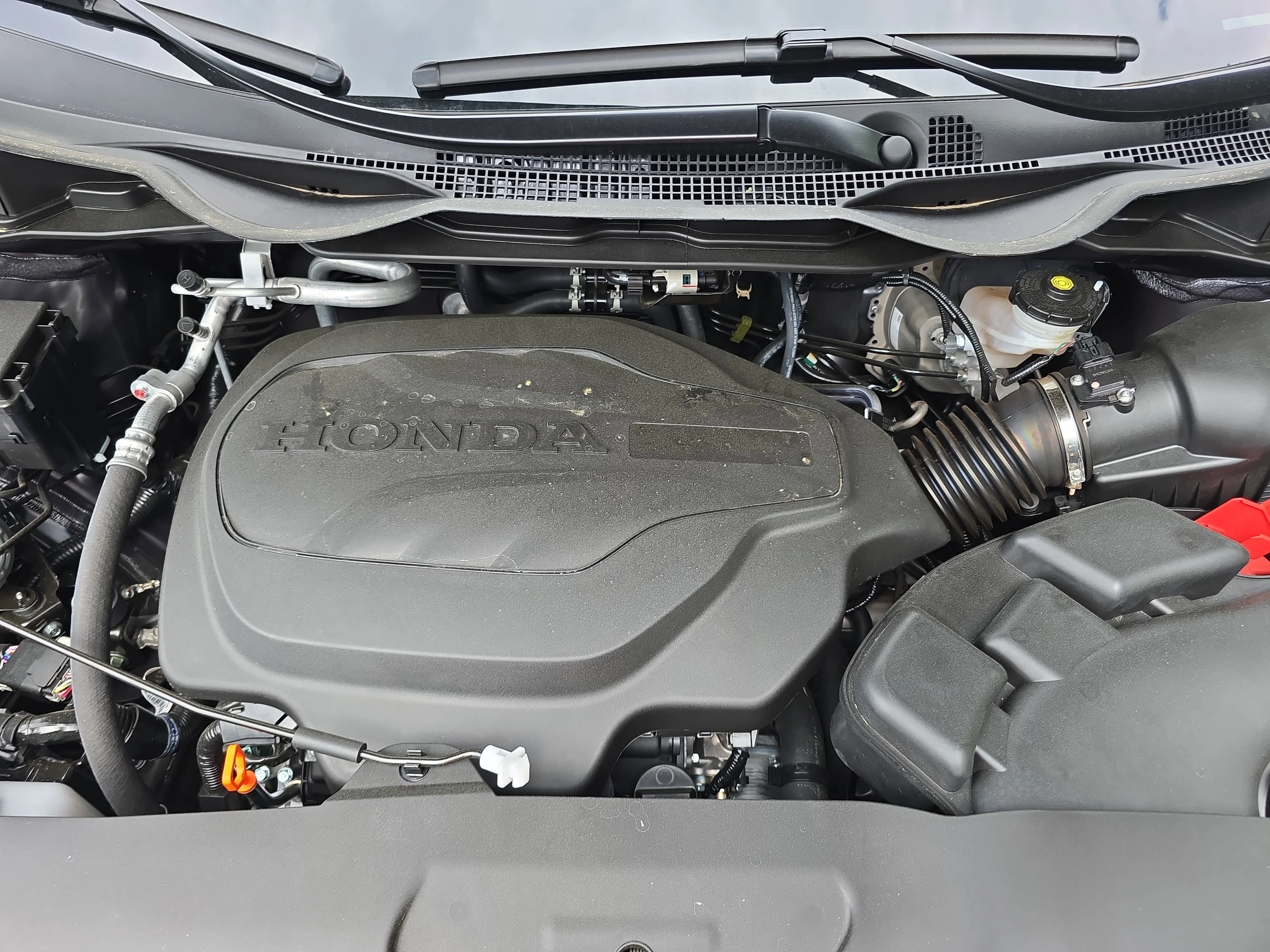 New 2026 Modern Steel Metallic Honda Elite image 32
