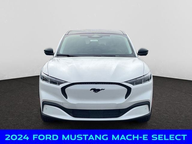 New 2024 White Ford Select image 8