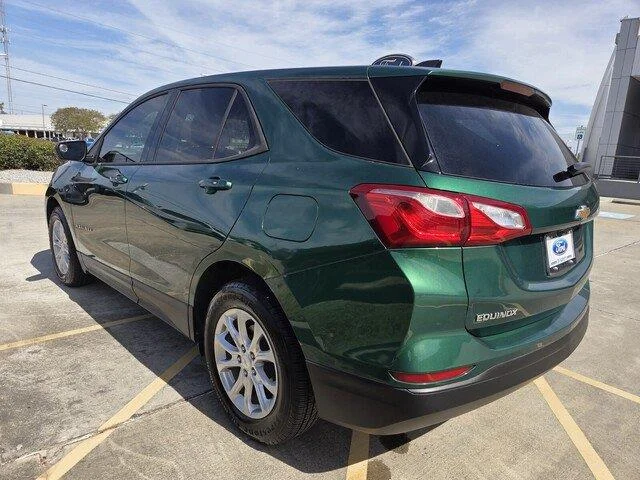 Used 2019 Ivy Metallic Chevrolet LS image 3