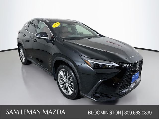 2025 Lexus NX