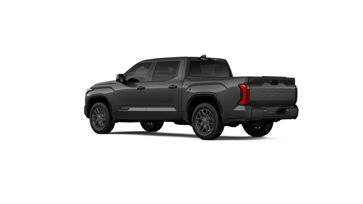 New 2026 Magnetic Gray Metallic Toyota Platinum image 6