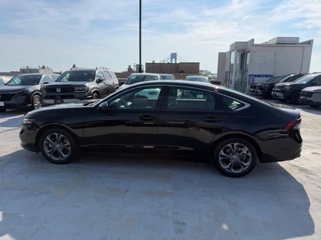 Used 2024 Gray Honda EX-L image 4