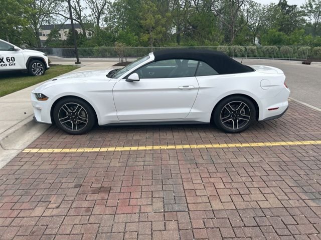 2021 Ford Mustang EcoBoost Premium Convertible's photo