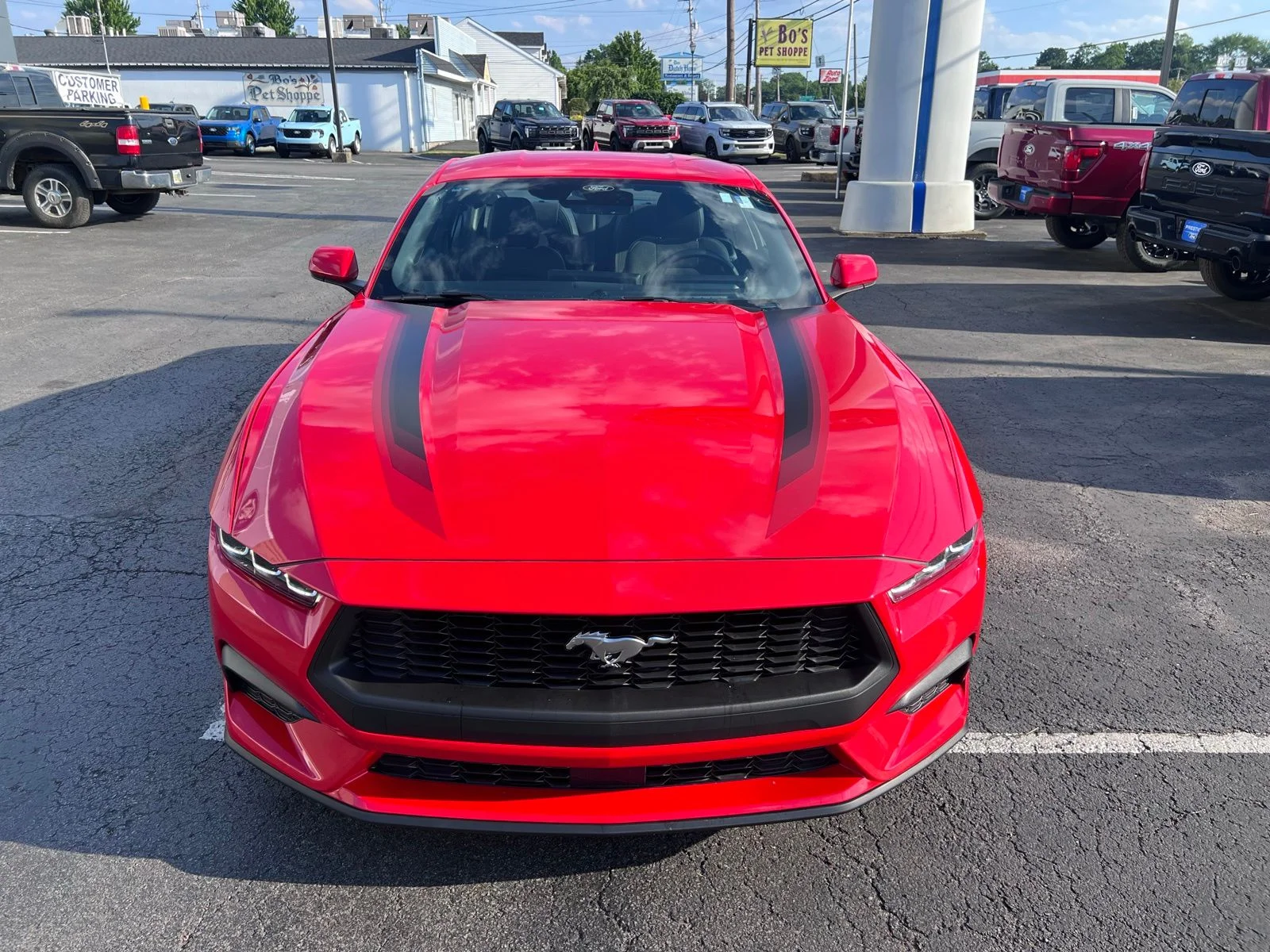 Used 2024 Red Ford EcoBoost image 2