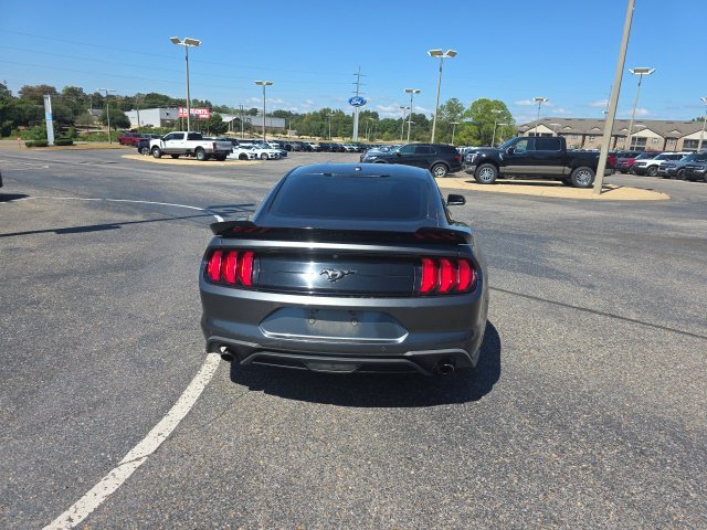 Used 2019 Gray Ford EcoBoost image 4
