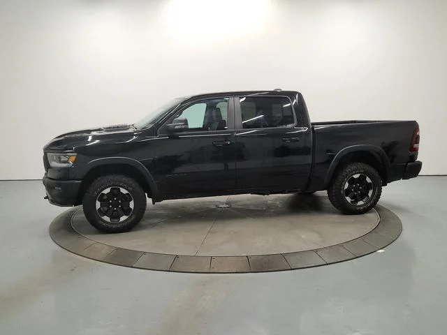 Used 2023 Black Ram Rebel image 5