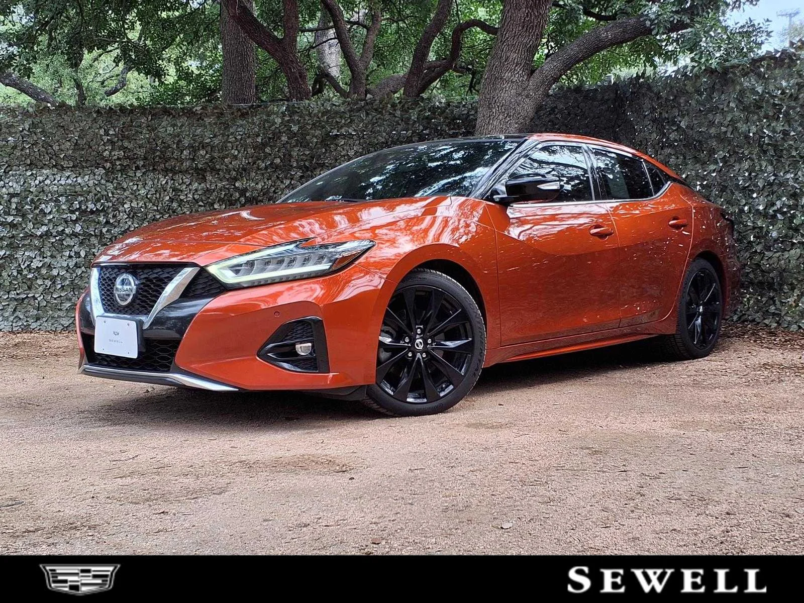 2020 Nissan Maxima SR