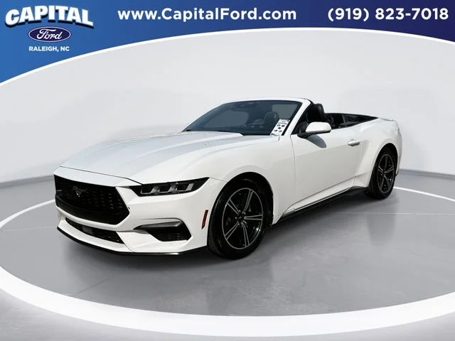 Used 2024 White Ford EcoBoost Premium image 1