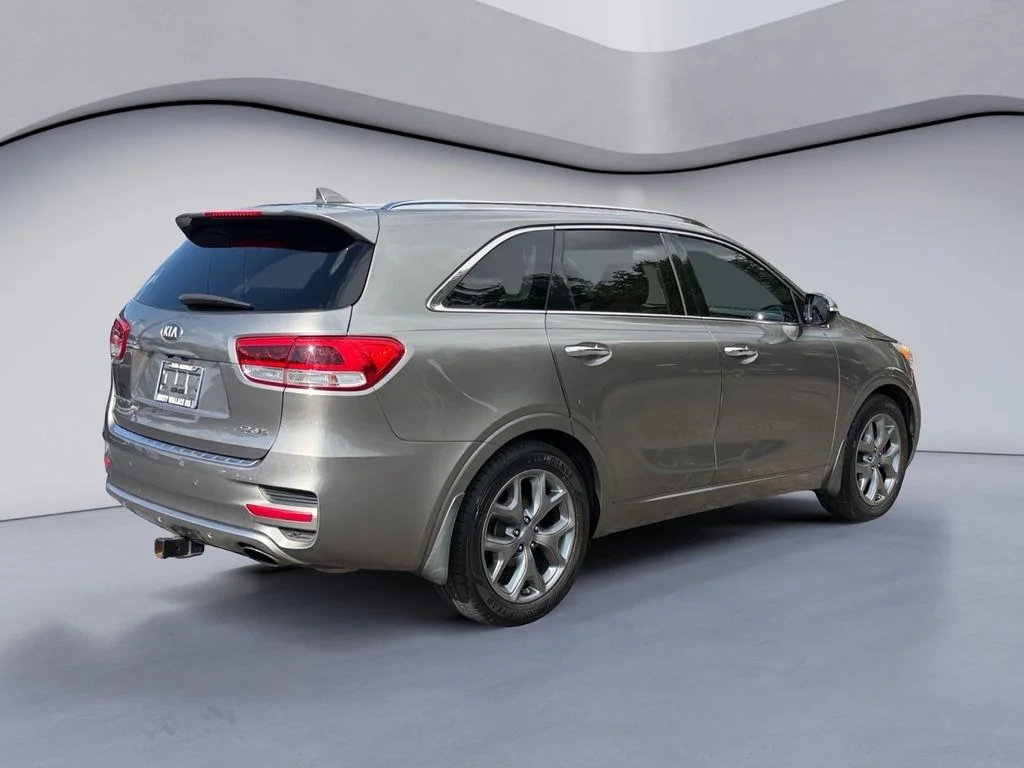 Used 2016 Titanium Silver Kia SX image 5