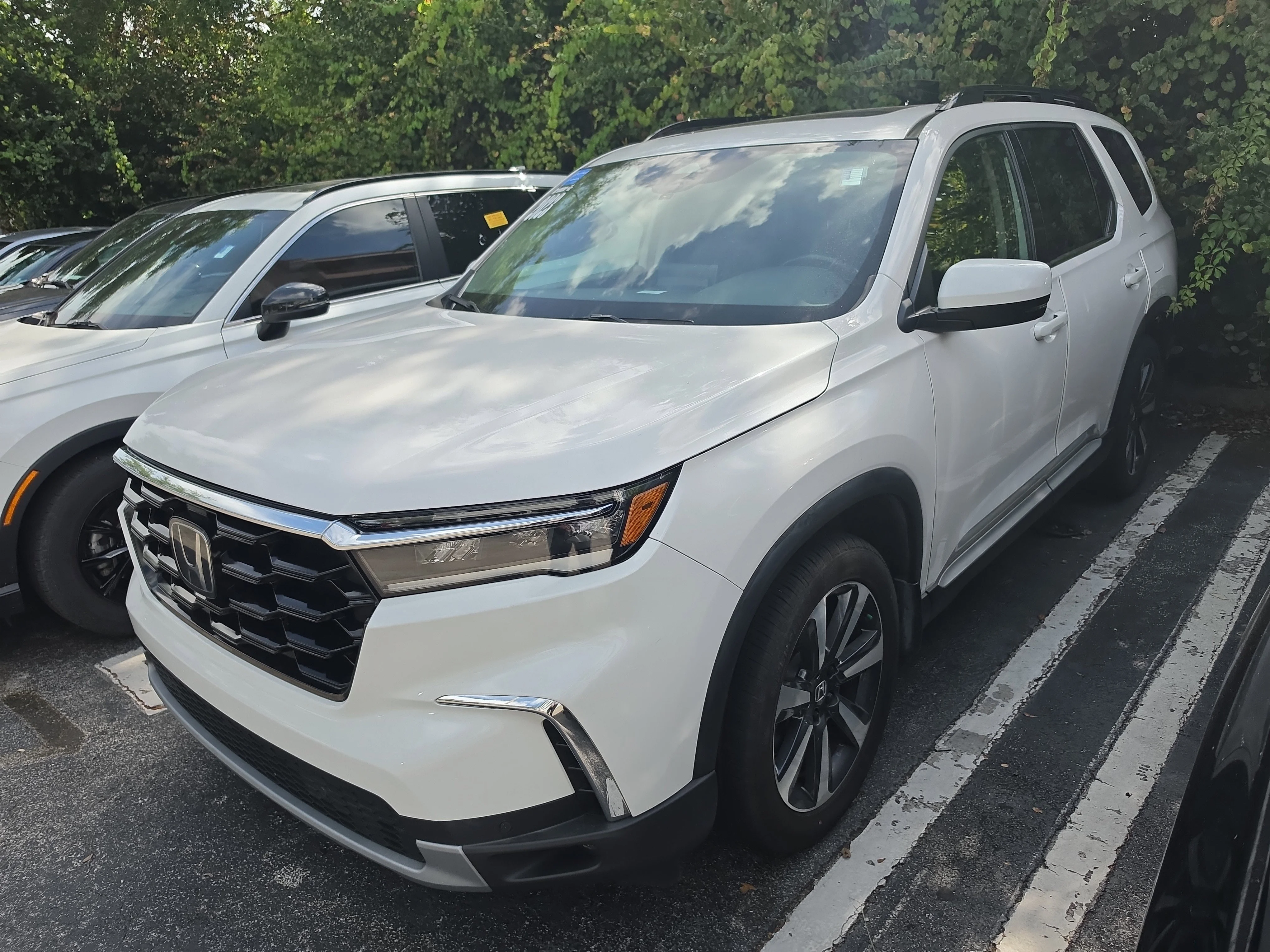 激AUTOMOTO PLAKETA FIM/ブラハム フォード/ノートン/ホンダ Certified Pre-Owned 2023 Honda Pilot 2WD TRG UV in Miami #V762583A