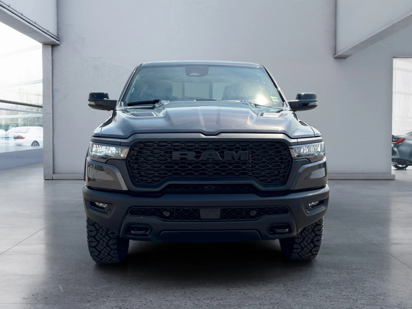 New 2026 Granite Crystal Metallic Ram Rebel image 8