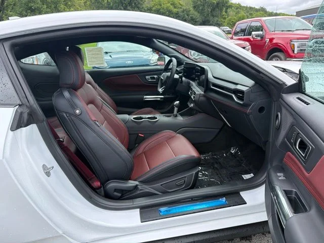 2025 Ford Mustang EcoBoost Premium Fastback - Photo 33