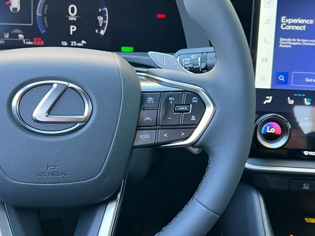 New 2026 Iridium Lexus PREMIUM image 42
