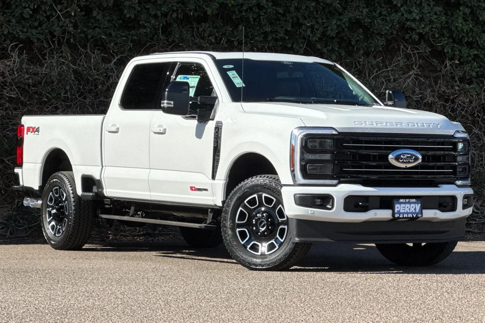 2025 Ford F-250 Platinum 4x4 Crew Cab 8' Box's photo