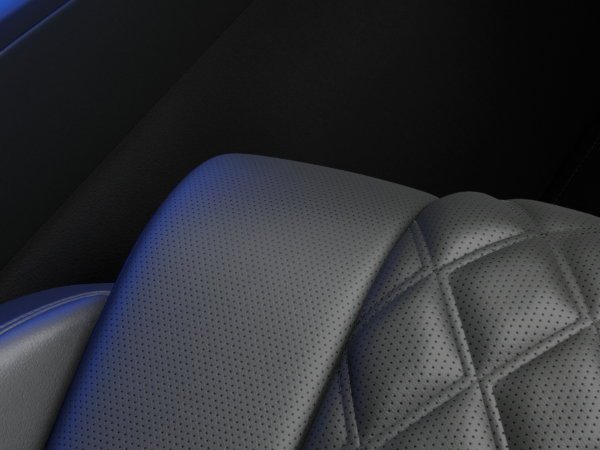 New 2027 Vik Black Genesis  image 24