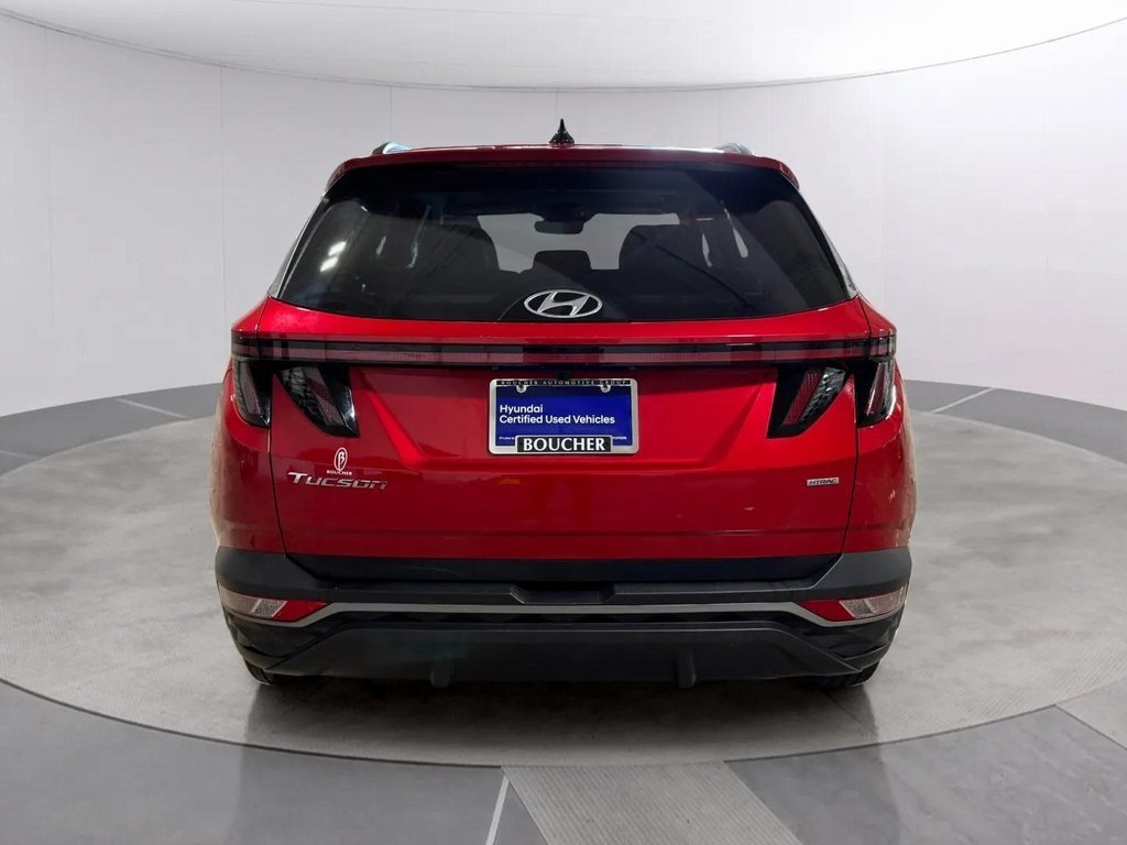 2023 Hyundai Tucson SEL Convenience photo 4